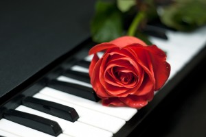 Rosa à clefs piano