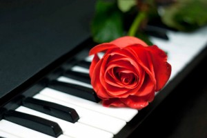 Walentynki-róża